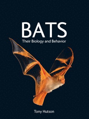 bokomslag Bats - Their Biology and Behavior