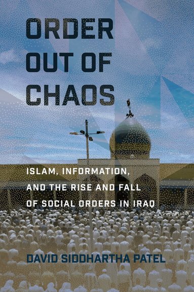 David Siddhartha Patel - Order Out of Chaos, Häftad