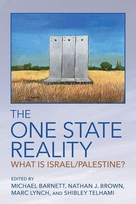 bokomslag The One State Reality