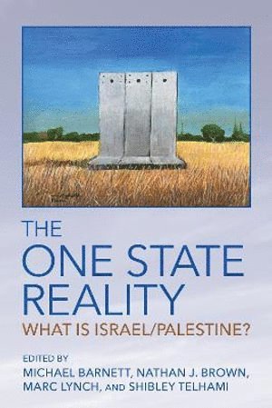 Michael Barnett, Nathan J. Brown, Marc Lynch, Shibley Telhami - One State Reality, Inbunden