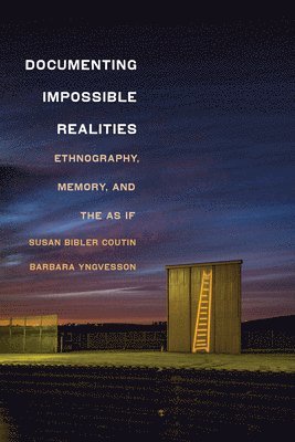 bokomslag Documenting Impossible Realities