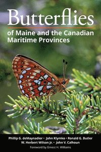 bokomslag Butterflies of Maine and the Canadian Maritime Provinces