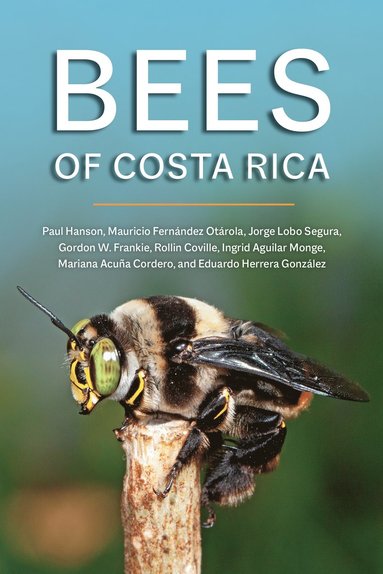 bokomslag Bees of Costa Rica