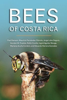 Bees of Costa Rica 1