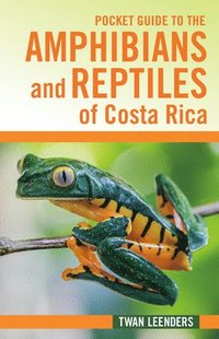 bokomslag Pocket Guide to the Amphibians and Reptiles of Costa Rica