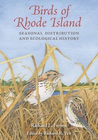 bokomslag Birds of Rhode Island