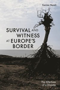 bokomslag Survival and Witness at Europe's Border