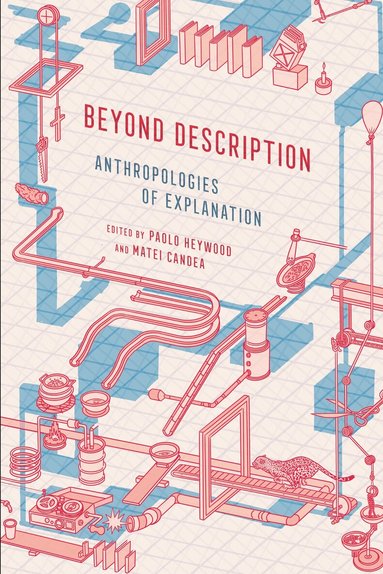 Paolo Heywood, Matei Candea - Beyond Description, Inbunden
