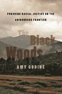 bokomslag Black Woods