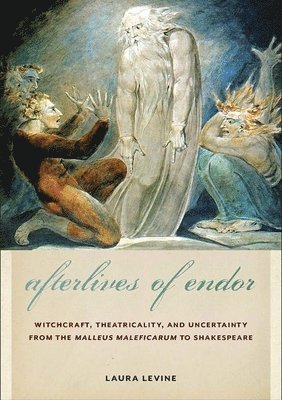 Laura Levine - Afterlives of Endor, Inbunden