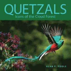 Quetzals