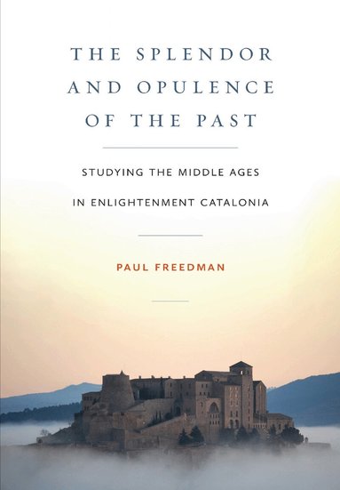 Paul Freedman - Splendor and Opulence of the Past, Inbunden