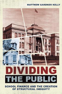 Matthew Gardner Kelly - Dividing the Public, Inbunden