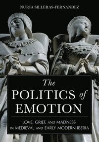 bokomslag The Politics of Emotion