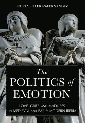 bokomslag Politics of Emotion