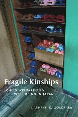 bokomslag Fragile Kinships