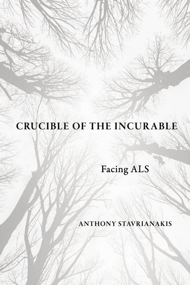 Anthony Stavrianakis - Crucible of the Incurable, Häftad