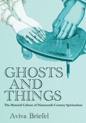 Aviva Briefel - Ghosts and Things, Inbunden