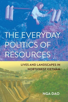 bokomslag Everyday Politics of Resources