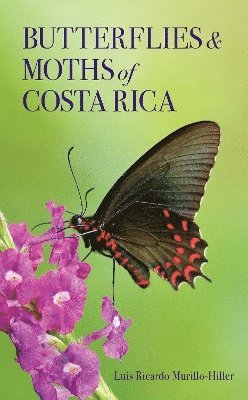 Butterflies and Moths of Costa Rica 1