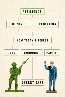 bokomslag Resilience Beyond Rebellion