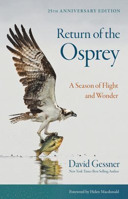 David Gessner - Return of the Osprey: A Season of Flight and Wonder, Häftad
