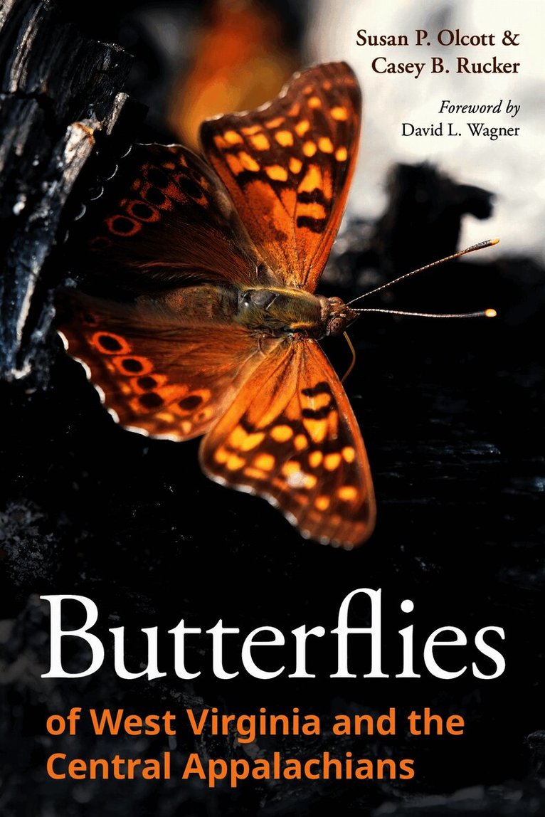 Butterflies of West Virginia and the Central Appalachians