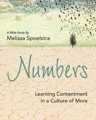 Numbers - Women's Bible Study Participant Workbook 1