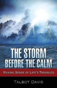 bokomslag The Storm Before the Calm
