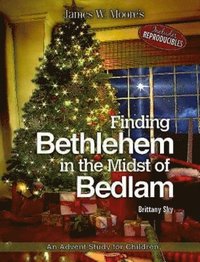 bokomslag Finding Bethlehem in the Midst of Bedlam