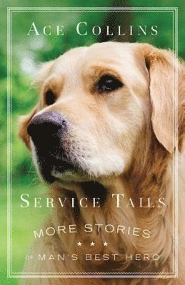 Service Tails 1