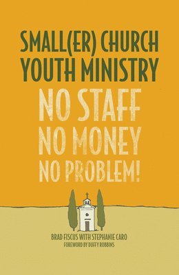 bokomslag Smaller Church Youth Ministry
