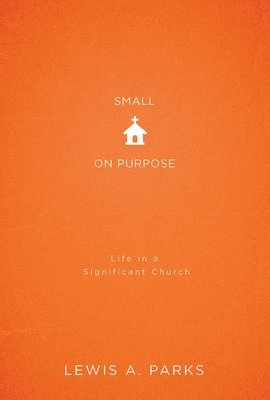 bokomslag Small on Purpose