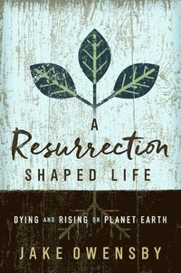 bokomslag Resurrection Shaped Life, A