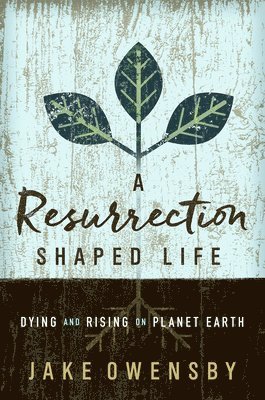 Resurrection Shaped Life, A 1