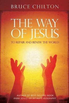 bokomslag Way of Jesus