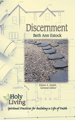 bokomslag Holy Living Series: Discernment