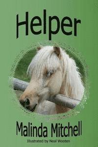 Helper 1