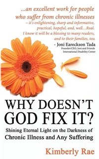 bokomslag Why Doesn't God Fix It?