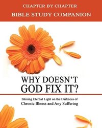 bokomslag Why Doesn't God Fix It? - Bible Study Companion Booklet: Chapter by Chapter Companion Study for Why Doesn't God Fix It? - Shining Eternal Light on the