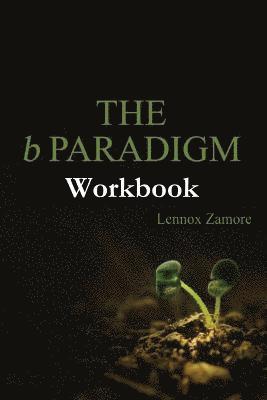 bokomslag The b Paradigm Workbook