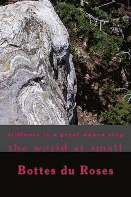 bokomslag stillness is a great dance step: The world at Small