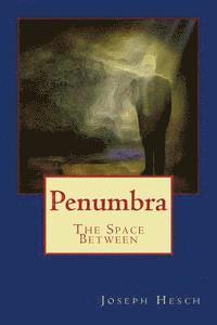 bokomslag Penumbra