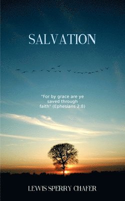 bokomslag Salvation