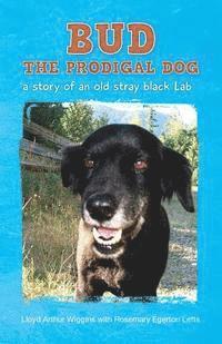 bokomslag Bud The Prodigal Dog: a story of an old stray black Lab