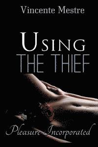 Using The Thief 1