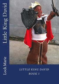 bokomslag Little King David