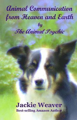 bokomslag Animal Communication from Heaven and Earth: by The Animal Psychic