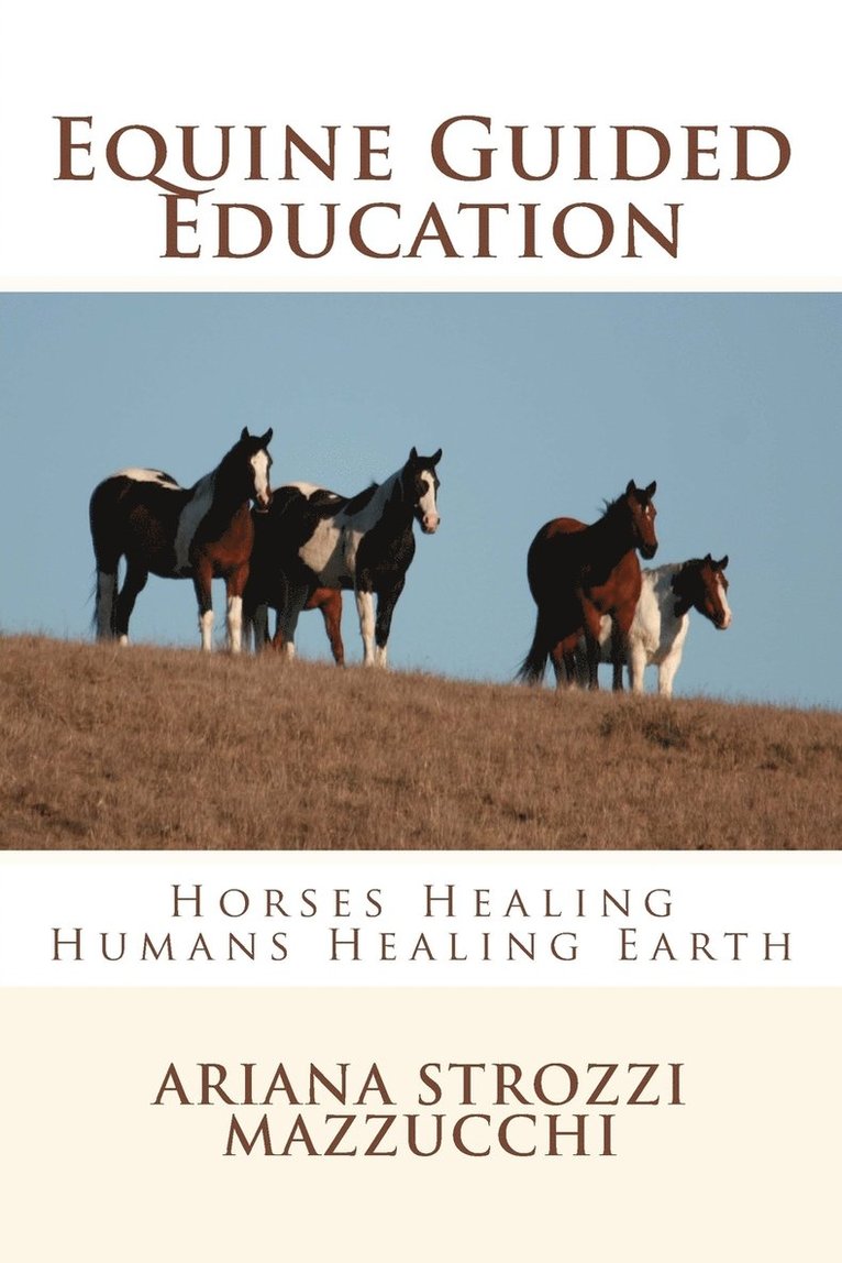 Equine Guided Education 1