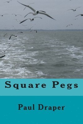 bokomslag Square Pegs